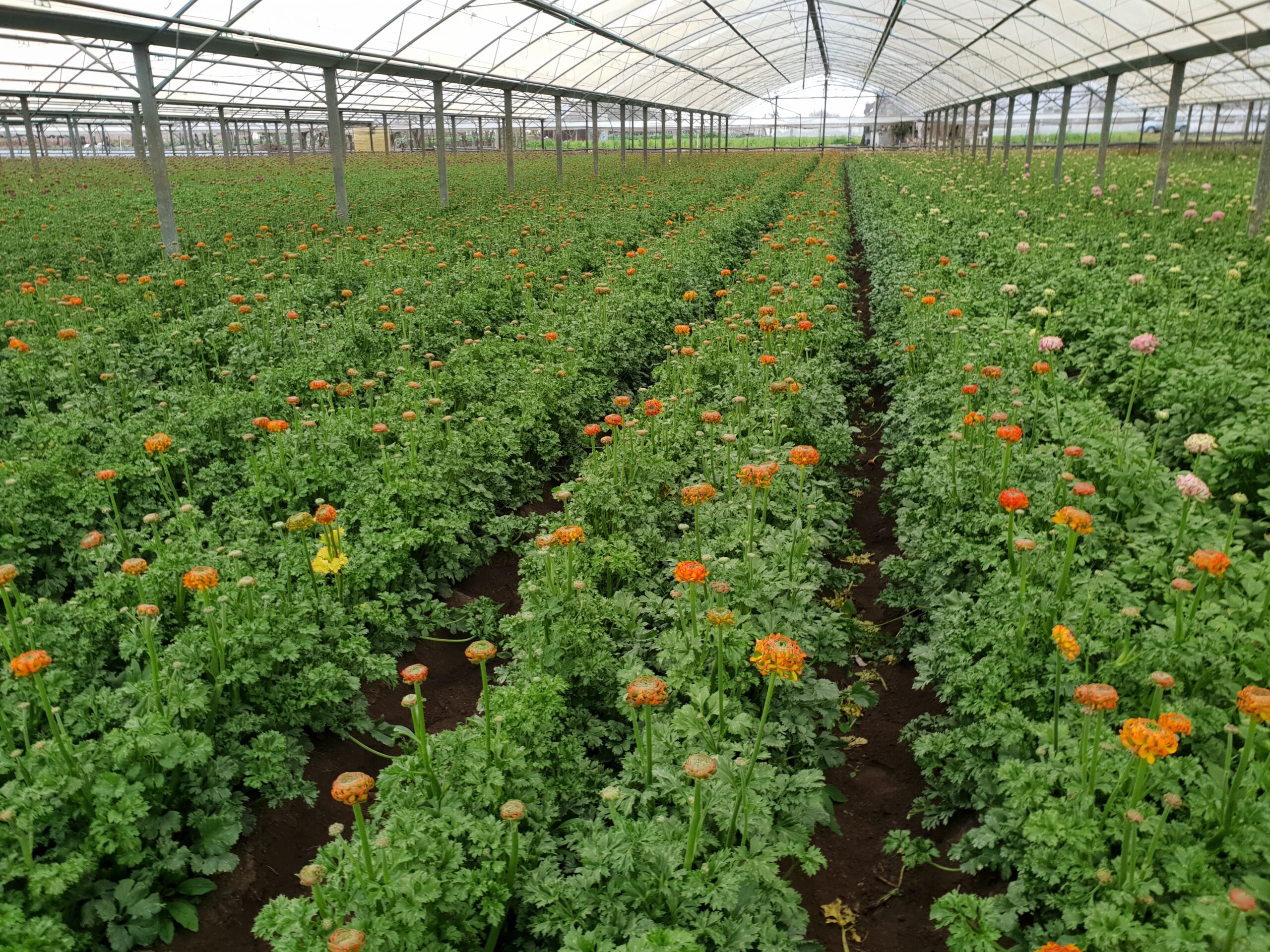 20190128_154037 20190128_154037